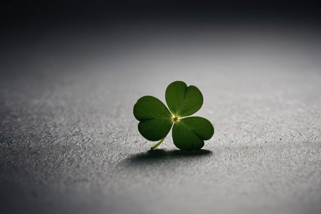 Photo single fourleaf clover on dark