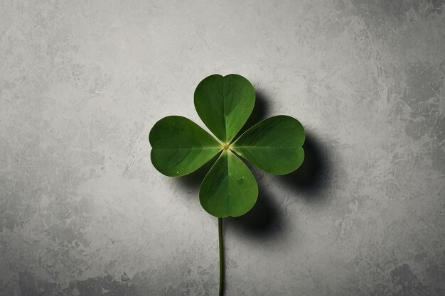 Single fourleaf clover on dark