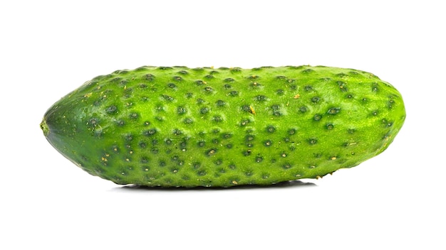 Single fresh cucumber on white background