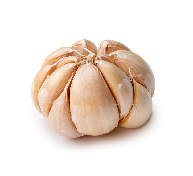 Single fresh white garlic bulb isolated on white background with clipping path Thai herb is great for healing several severe diseases heart attact Hyperlipidemia or Dyslipidemia close up photo