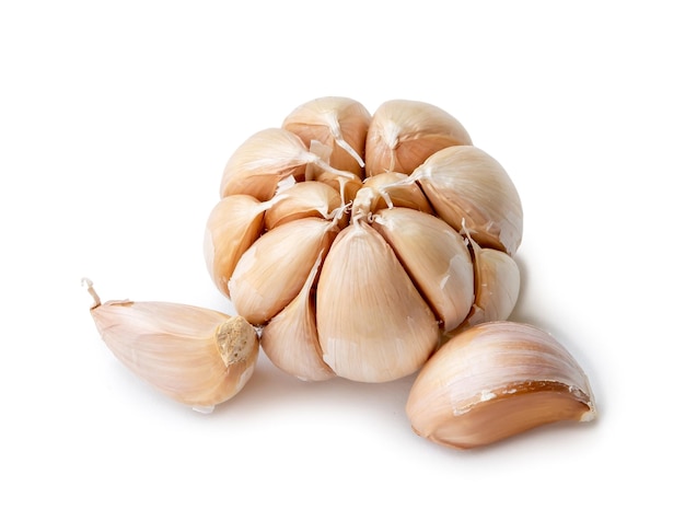 Single fresh white garlic bulb with segments isolated on white background with clipping path Thai herb is great for healing several severe diseases heart attack Top view and close up photo