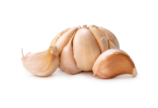 Single fresh white garlic bulb with segments isolated on white background with clipping path Thai herb is great for healing several severe diseases heart attack