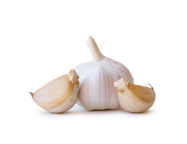 Single fresh white garlic bulb with segments isolated on white background with clipping path