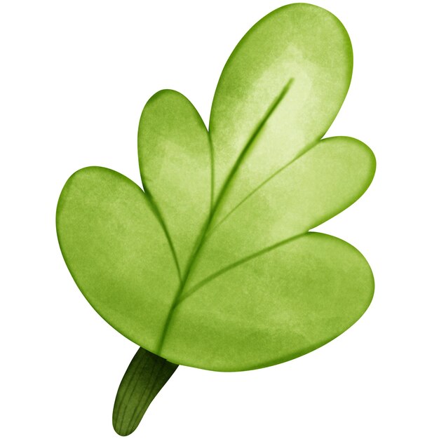 Single green leaf with watercolor isolated