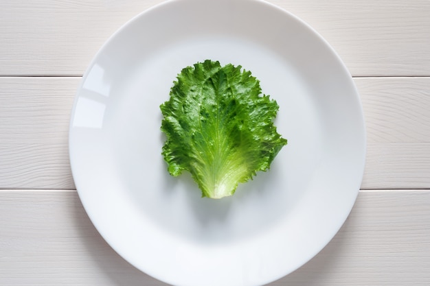 single green lettuce leaf on white plate, top view