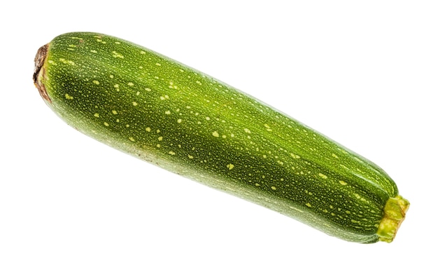 Single green zucchini vegetable isolated