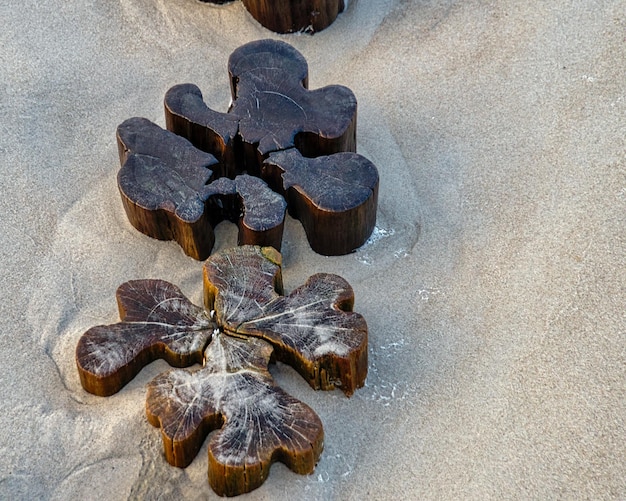 夕日の光の雰囲気でビーチでシングル groyne