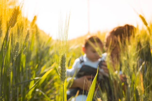 Single mom plays with her son in a wheat field at sunset