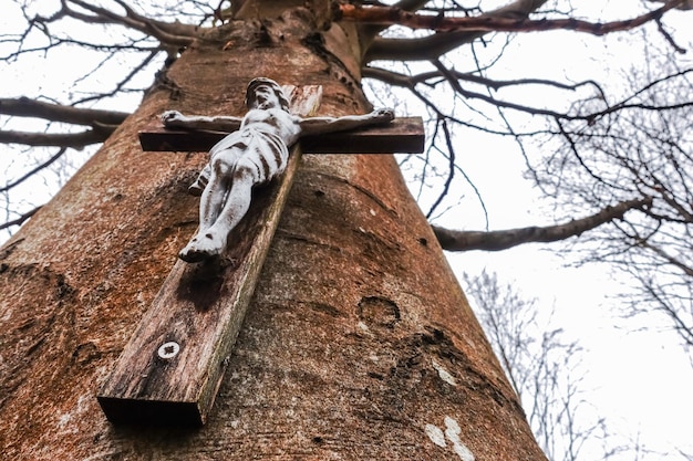 Single old wooden cross with jesus on a tree in the forest view