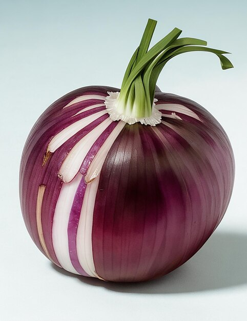 Single onion