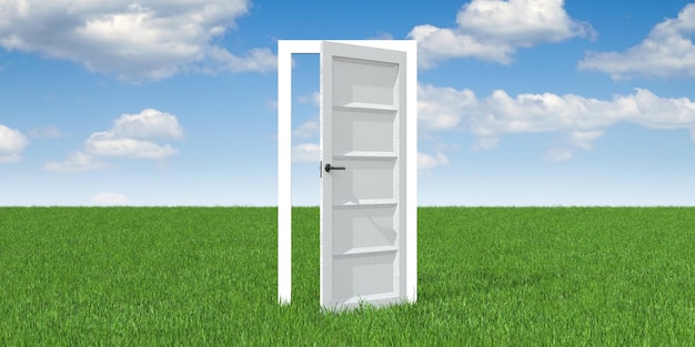 Photo single open door on a meadow 3d illustration