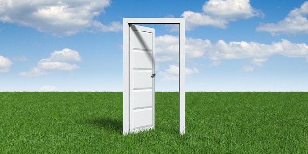 Photo single open door on a meadow 3d illustration