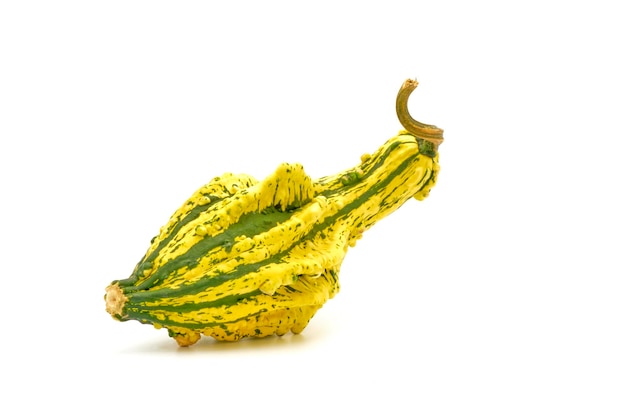 Single Ornamental Gourd