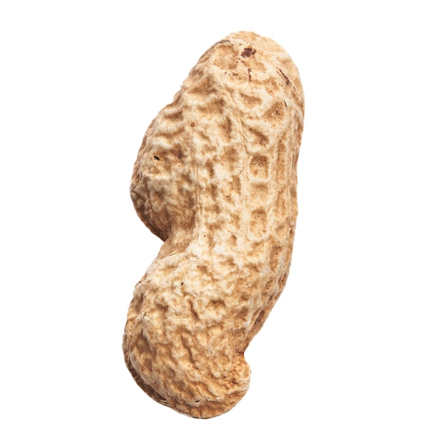 Single peanut with shell isolated on a white background