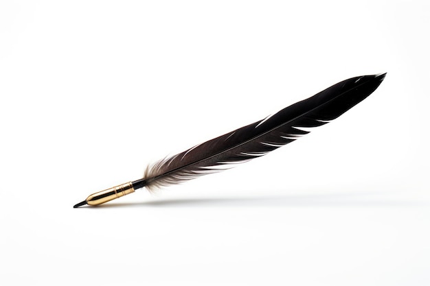 Photo a single quill isolated on white background