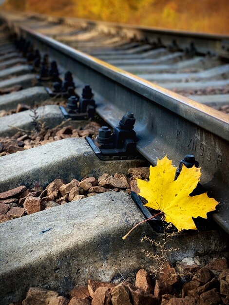Single rail as part of a railway. Autumn yellow maple leaf on the rails. Wooden sleepers and gravel are also visible.