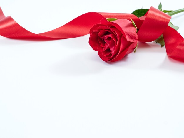 Single red rose with red ribbon.Valentine's day concept