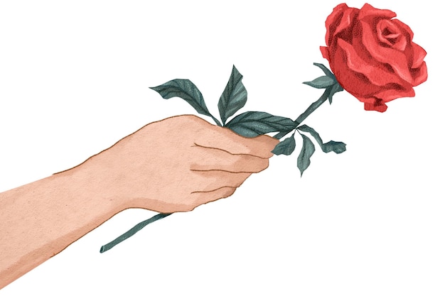 단일 은 장미