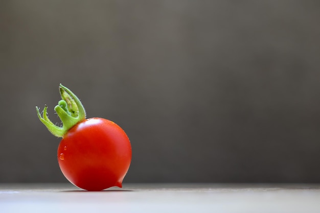 사진 복사 공간이 있는 나무에 있는 단일 빨간 토마토. 건강한 식생활 개념