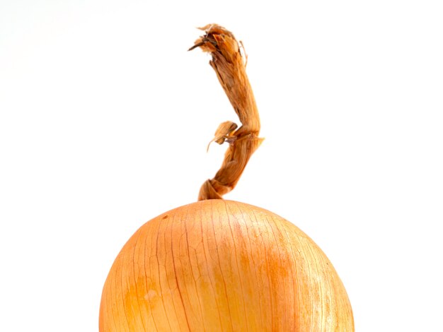 Single Ripe Onions on white background