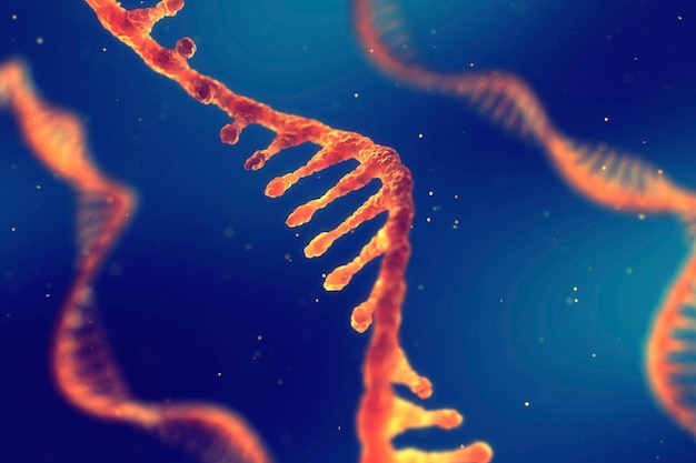 Single strand ribonucleic acid RNA research and therapy