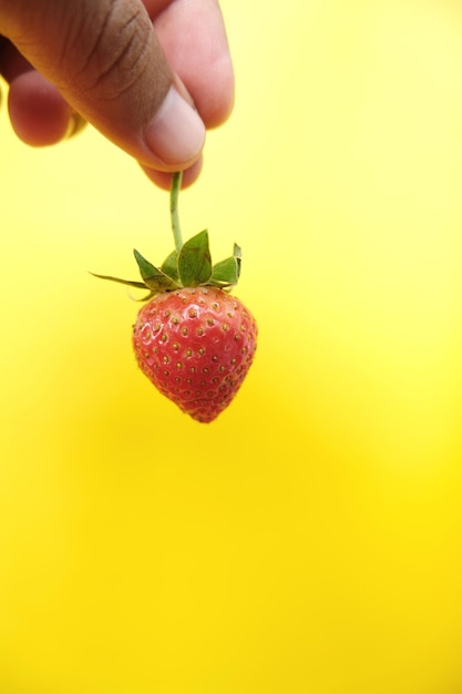 A single strawberry in hand