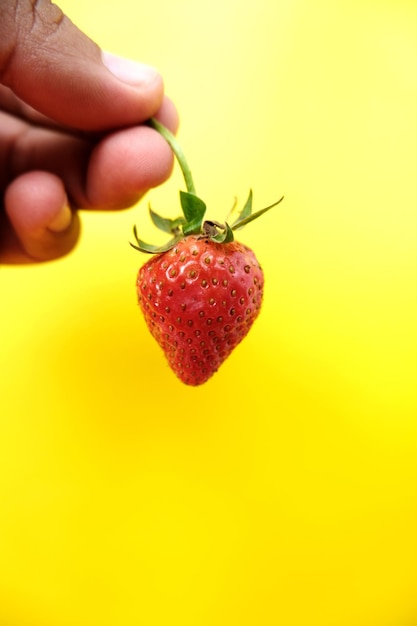 Photo a single strawberry in hand