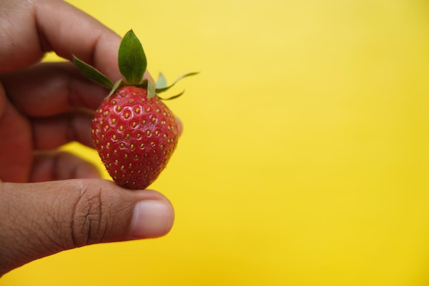 a single strawberry in hand