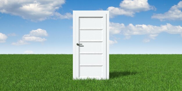 single white door on a meadow future concept 3d illustration