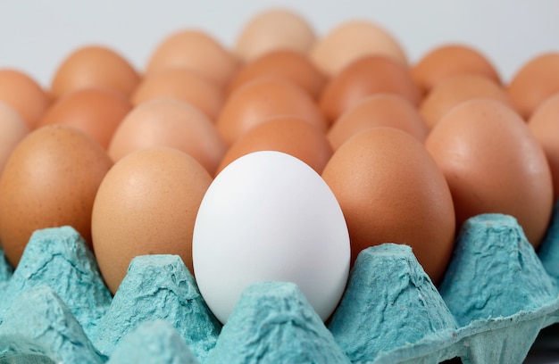 Single white egg among brown eggs