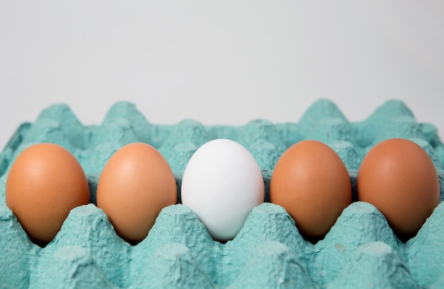 Single white egg among brown eggs