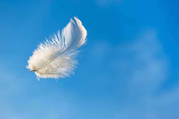 Single white feather floating in blue sky