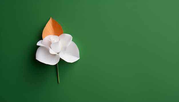 single white rose and petals in the colors of the Indian flag generated by artificial intelligence