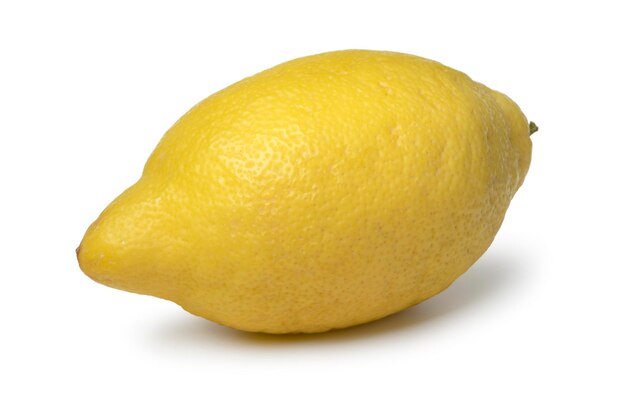 Single whole Amalfi lemon close up on white background