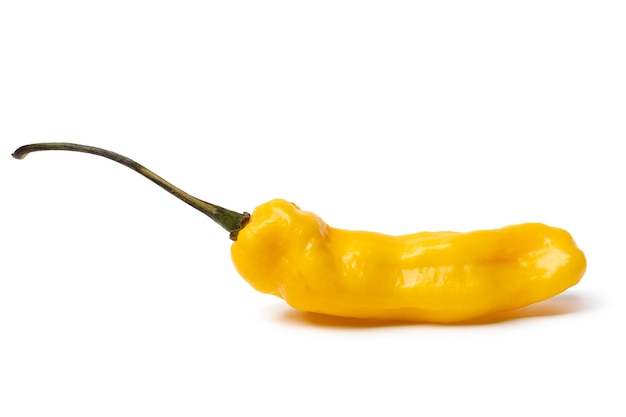 Photo single whole fresh raw ripe yellow madame jeanette pepper close up on white background