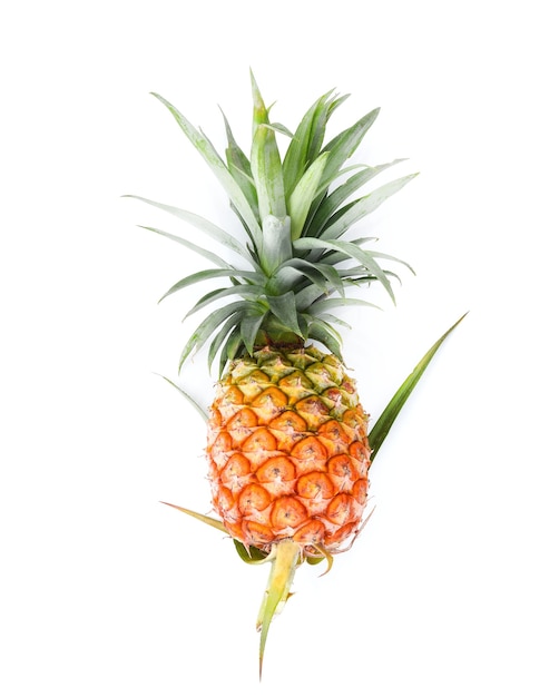 Single whole pineapple isolated on white background