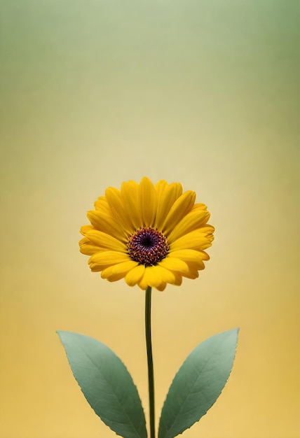 a single yellow flower is shown against a green background