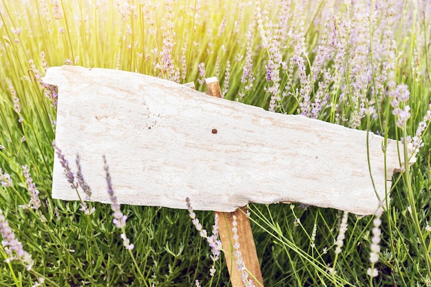 Photo singpost in grass and lavender field rustic board