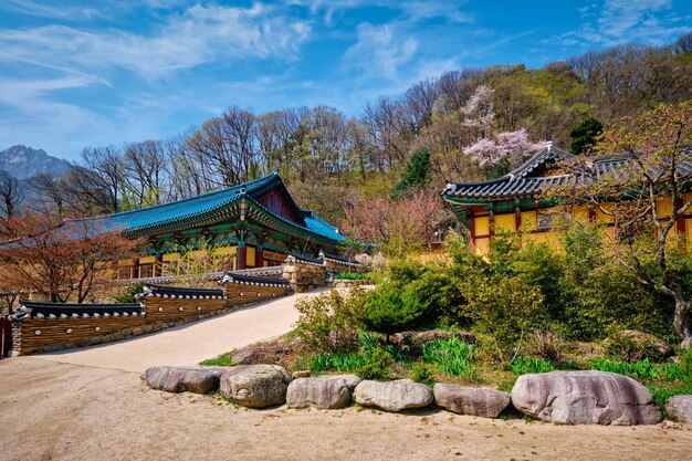 Photo sinheungsa temple in seoraksan national park seoraksan south korea