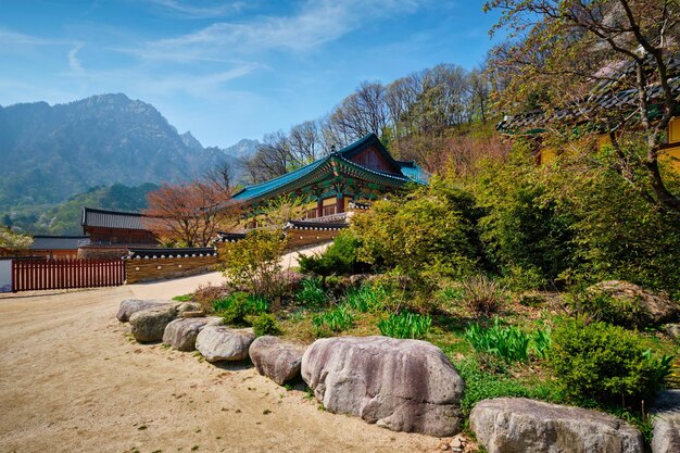 Photo sinheungsa temple in seoraksan national park seoraksan south korea