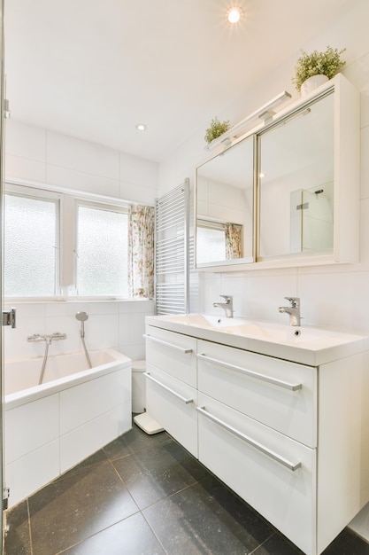 Sinks and bathtub near shower cabin