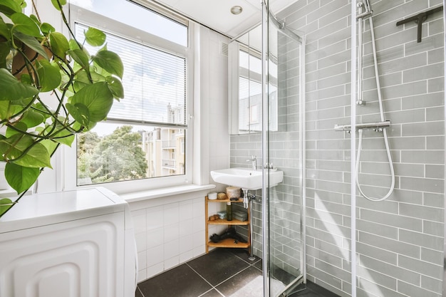 Sinks and shower cabin