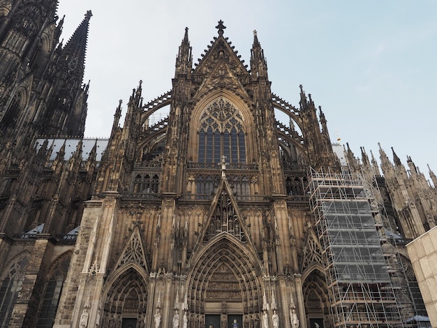 Sint-Pietersbasiliek in Koeln