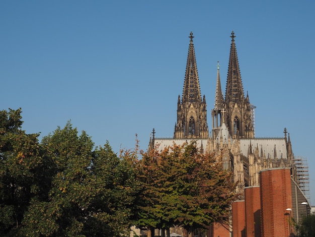 Sint-Pietersbasiliek in Koeln