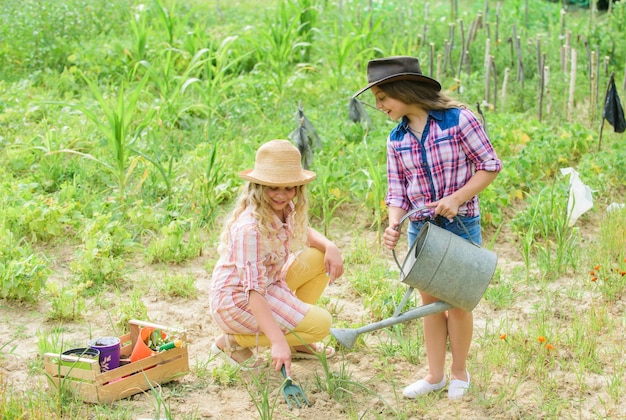 Sisters together helping at farm. Girls planting plants. Agriculture concept. Growing vegetables. Hope for nice harvest. Rustic children working in garden. Planting and watering. Planting vegetables.