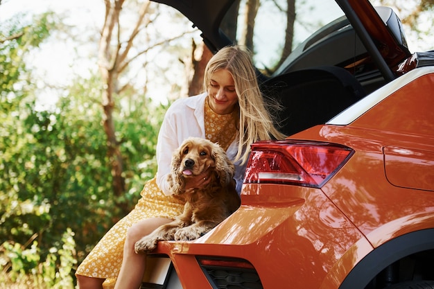 車の後ろに座ります。森の中で屋外で犬と一緒にいる女性は楽しい時間を過ごします。