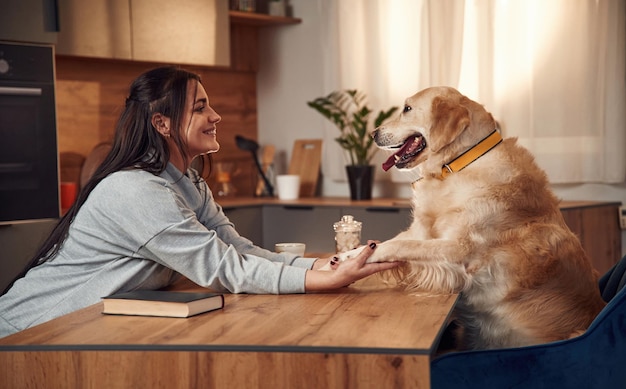 写真 一緒にテーブルのそばに座っている 女性はゴールド・レトリバー犬と一緒に家にいる