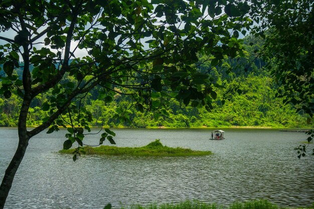 Photo situ gunung lake in indonesia forest lake under cloudy sky