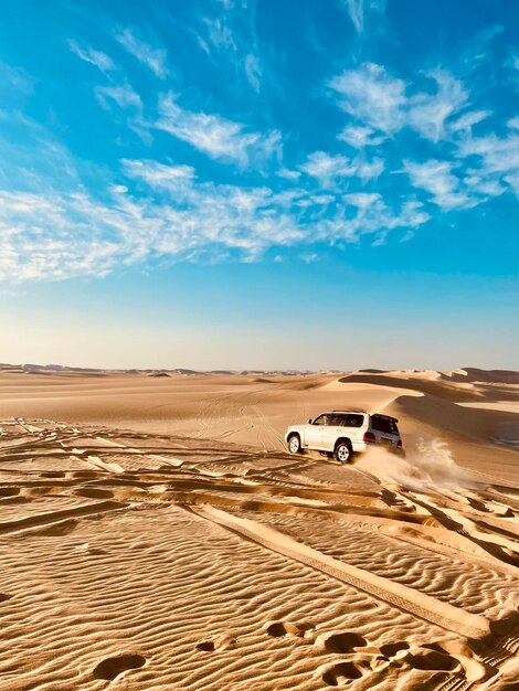 Siwa oasis western desert egyp