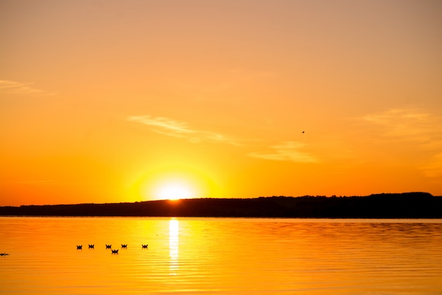 Six origami in the form of boats sail by the lake at sunset in the evening.  Paper boats are drifting with the flow of water far away